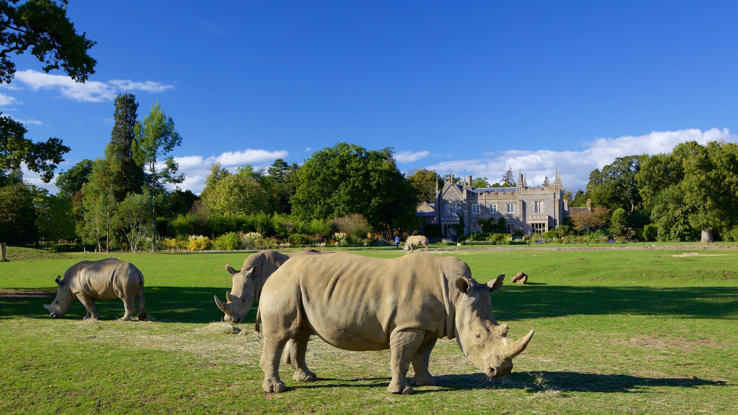 Cotswold Wildlife Park image