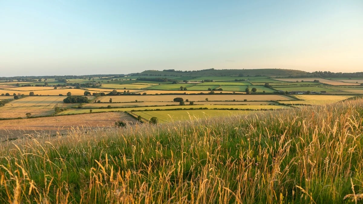Walking countryside image